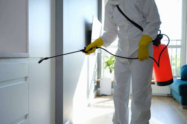 Professional Mold Inspection, Removal & Remediation in Groesbeck, TX